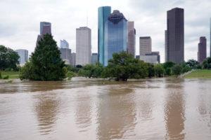 hurricane harvey property tax relief